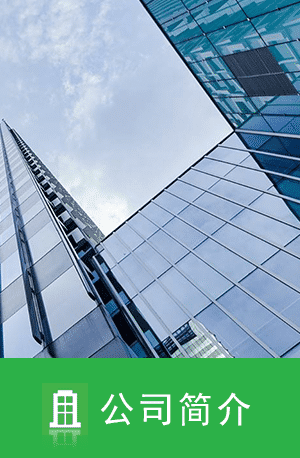 企業(yè)簡(jiǎn)介